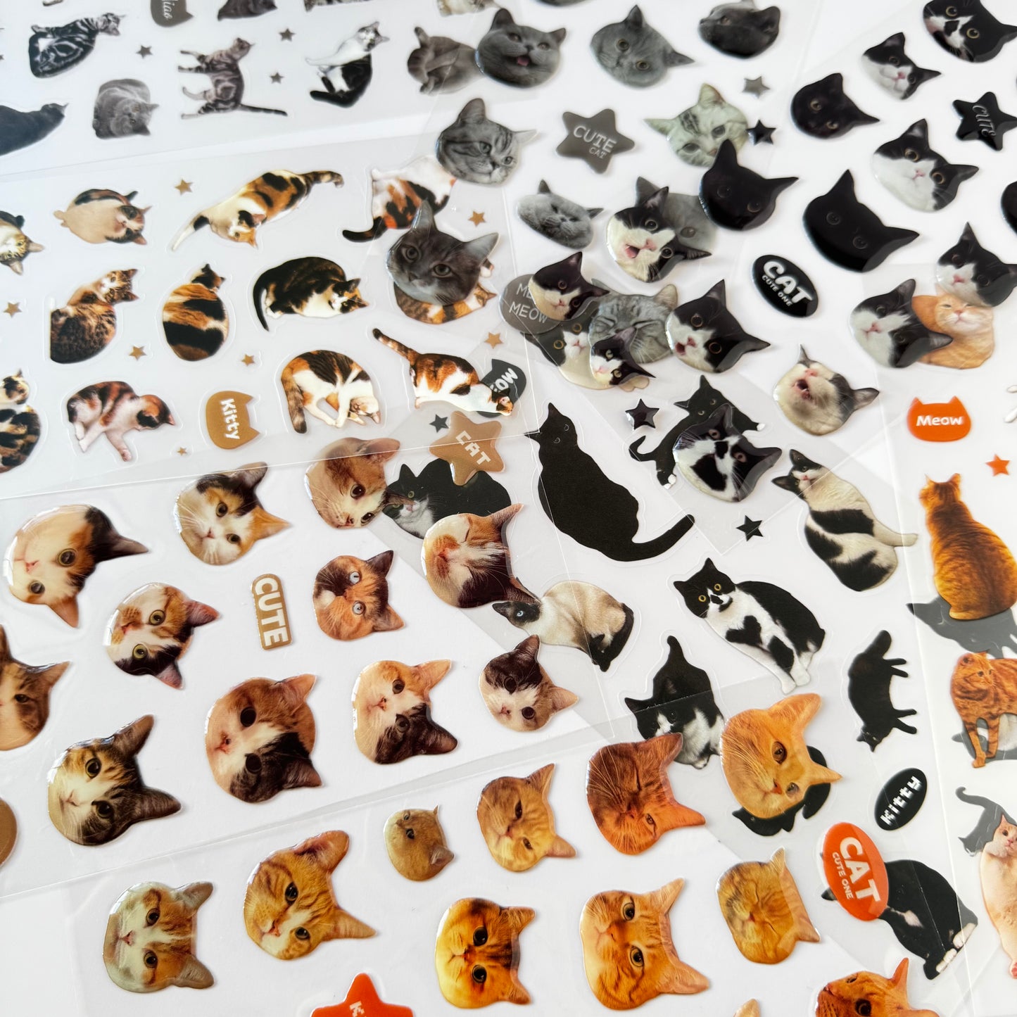 Meow Mood Stickers 🐾 — Cute Cat Collectio