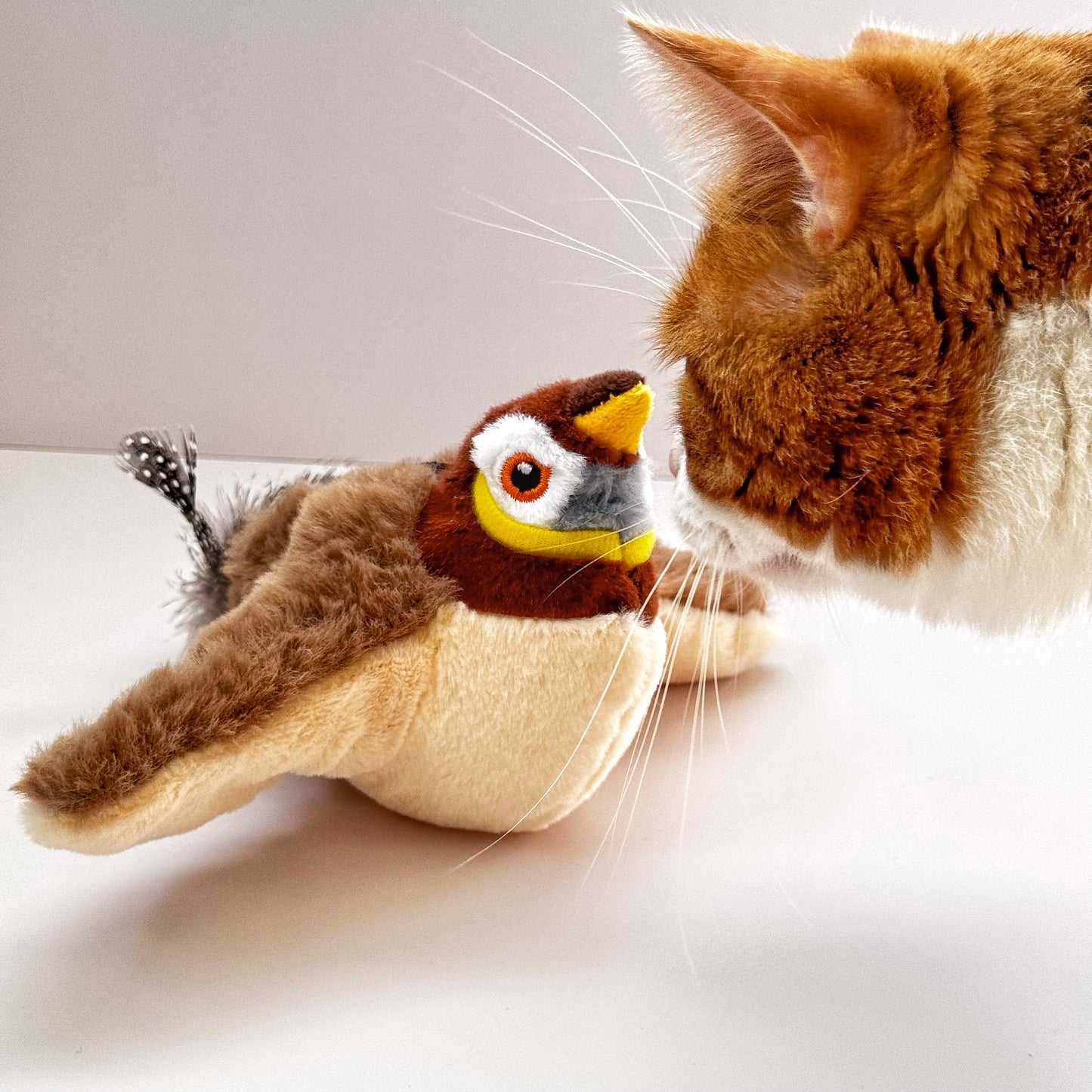 Fluffy Plush Cat Toy – Soft Squeaky Animal Buddy (Gray & Brown) 🧸