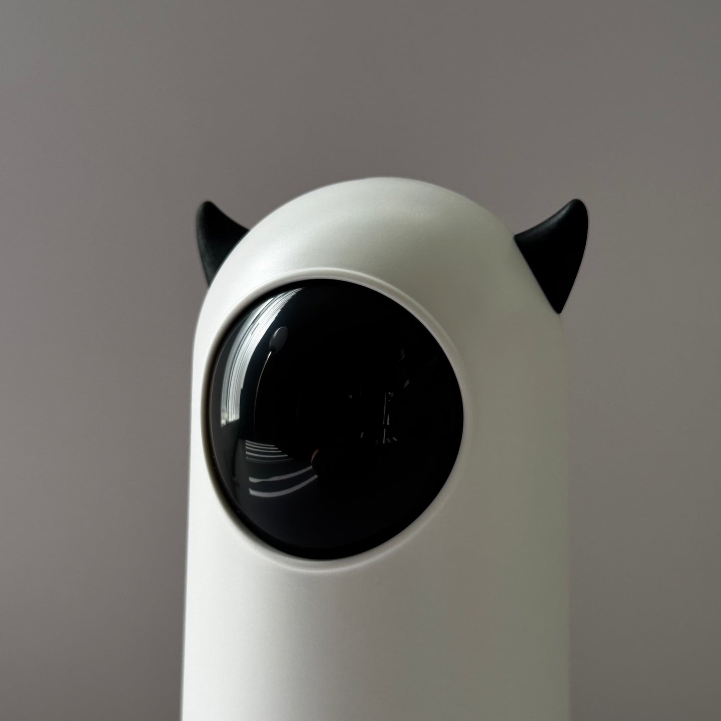 Kitty Laser Play — Cat-Ear Edition 🐱🔴