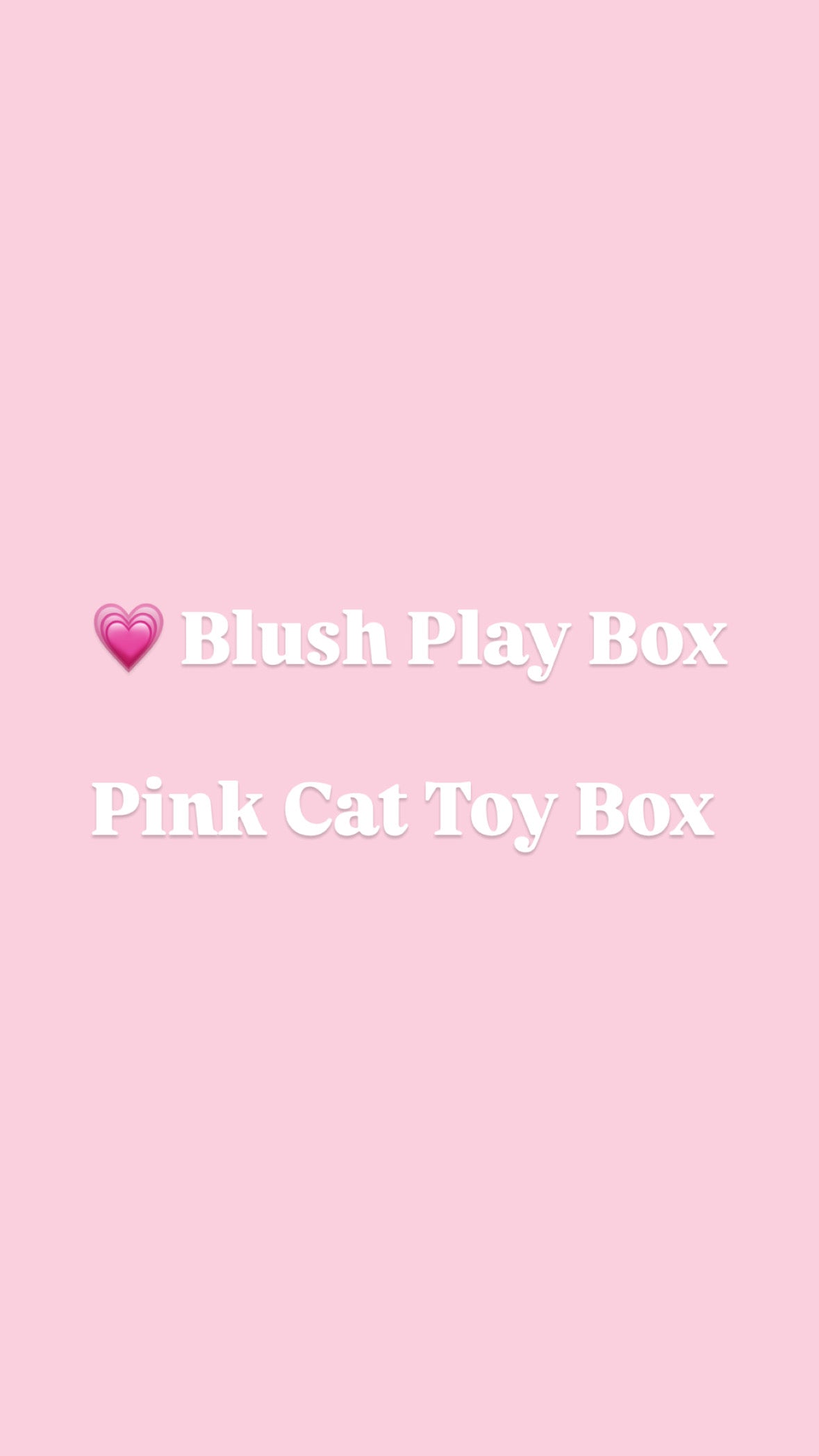 💗 Blush Play Box  Pink Cat Toy Box