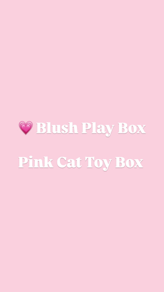 💗 Blush Play Box  Pink Cat Toy Box