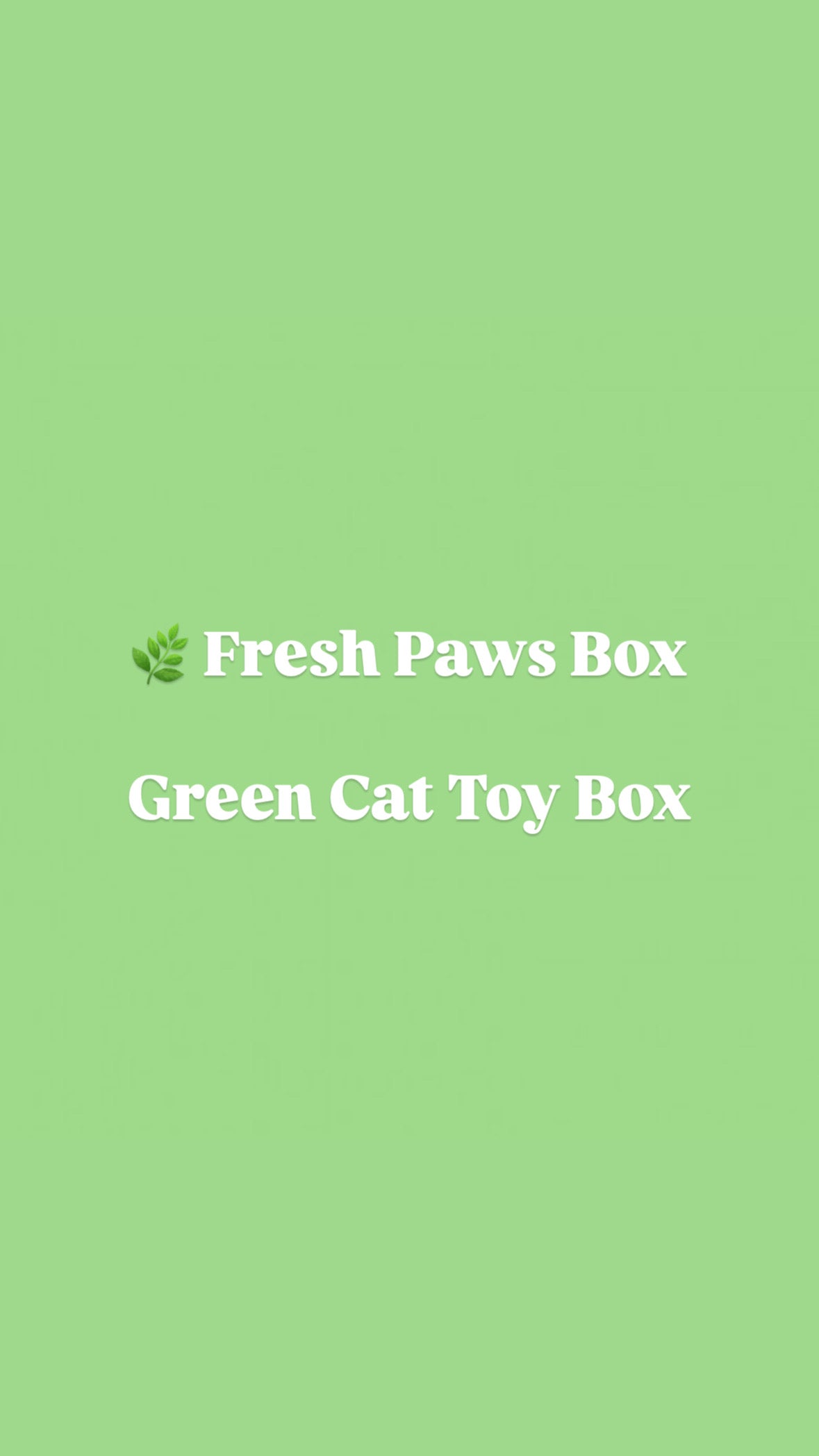 🌿 Fresh Paws Box  Green Cat Toy Box