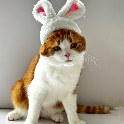 Bunny Ears Cat Hat – Fluffy Easter Cap for Cats 🐱🐰