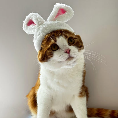 Bunny Ears Cat Hat – Fluffy Easter Cap for Cats 🐱🐰