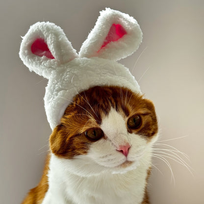 Bunny Ears Cat Hat – Fluffy Easter Cap for Cats 🐱🐰