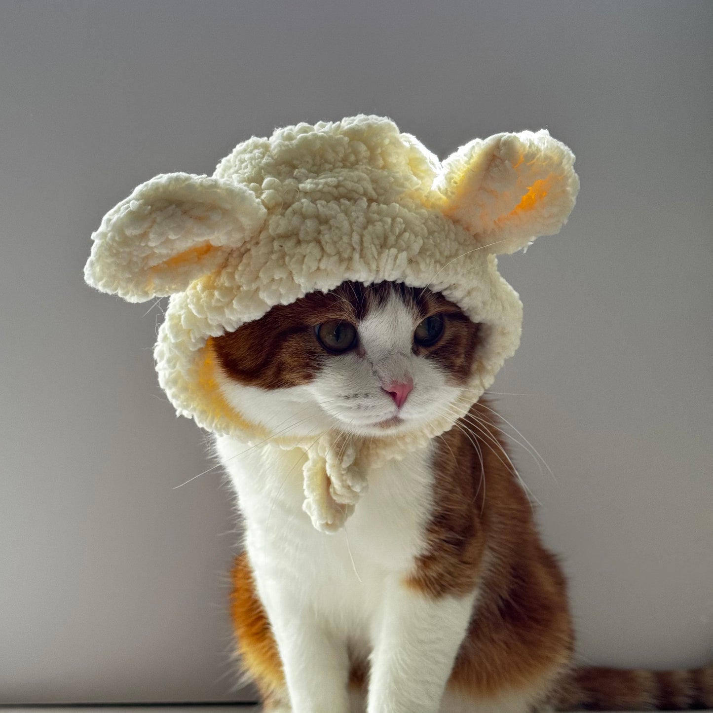 Fluffy Cat Knit Hat – Cozy Winter Cap for Cats (Brown, Pink & White) 🐱❄️