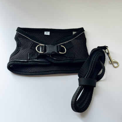 Adjustable Cat Harness & Leash Set – No-Pull, Soft & Breathable (S/M, 3 Colors) 🐾