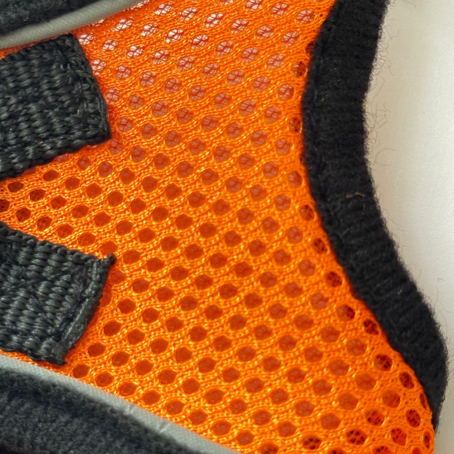 Adjustable Cat Harness & Leash Set – No-Pull, Soft & Breathable (S/M, 3 Colors) 🐾