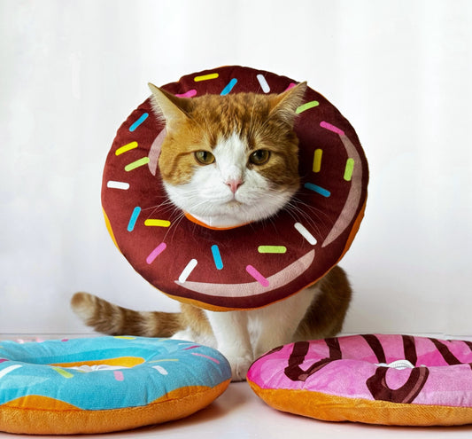 ✨ Soft Donut Pet Collar – Cute Recovery Cone (Pink, Blue & Brown) 🐾