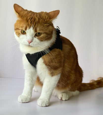 Adjustable Cat Harness & Leash Set – No-Pull, Soft & Breathable (S/M, 3 Colors) 🐾