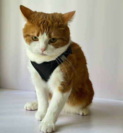 Adjustable Cat Harness & Leash Set – No-Pull, Soft & Breathable (S/M, 3 Colors) 🐾