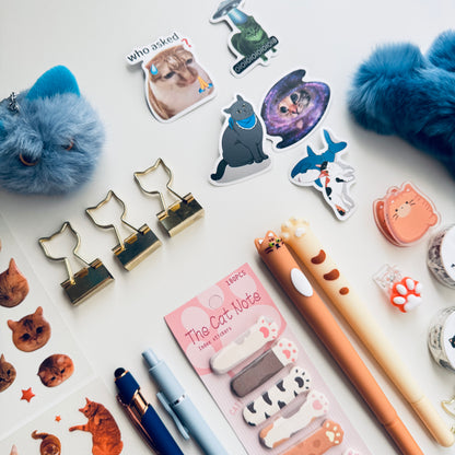 💙 Cat Lover Blue Bundle