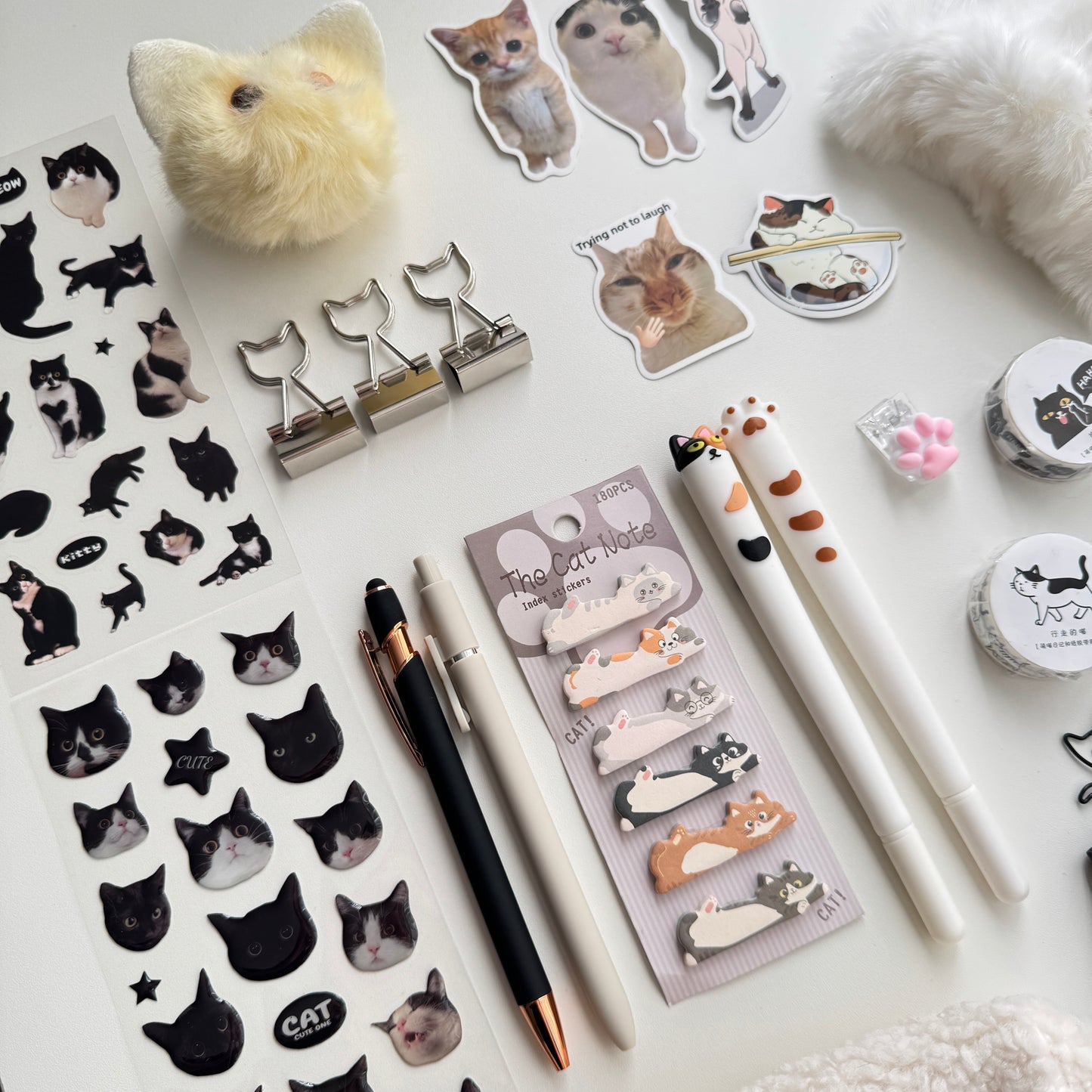 🤍 Cat Lover White-Black  Bundle