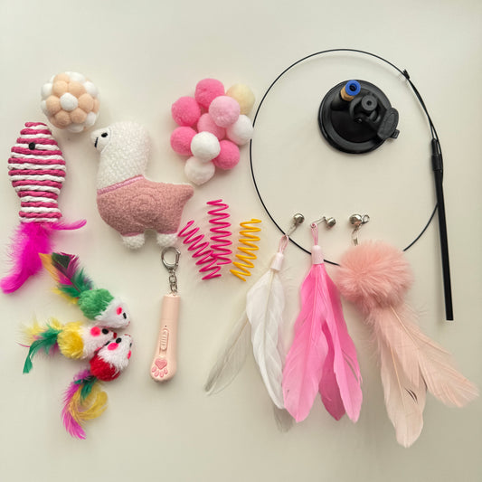 💗 Blush Play Box  Pink Cat Toy Box