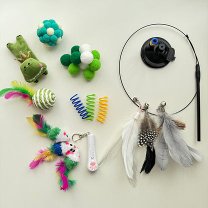 🌿 Fresh Paws Box  Green Cat Toy Box