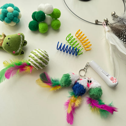 🌿 Fresh Paws Box  Green Cat Toy Box