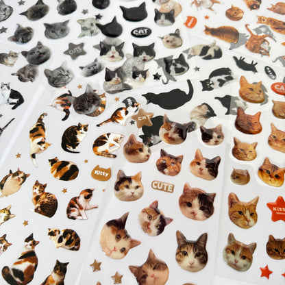 Meow Mood Stickers 🐾 — Cute Cat Collectio