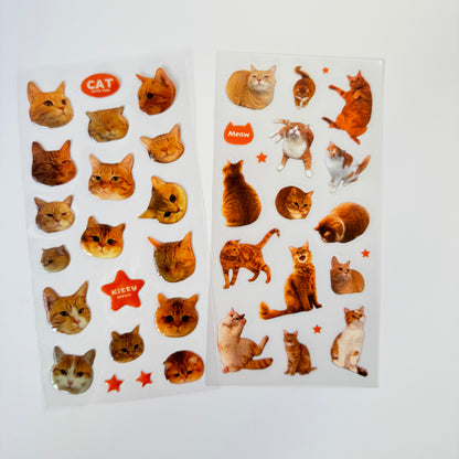 Meow Mood Stickers 🐾 — Cute Cat Collectio