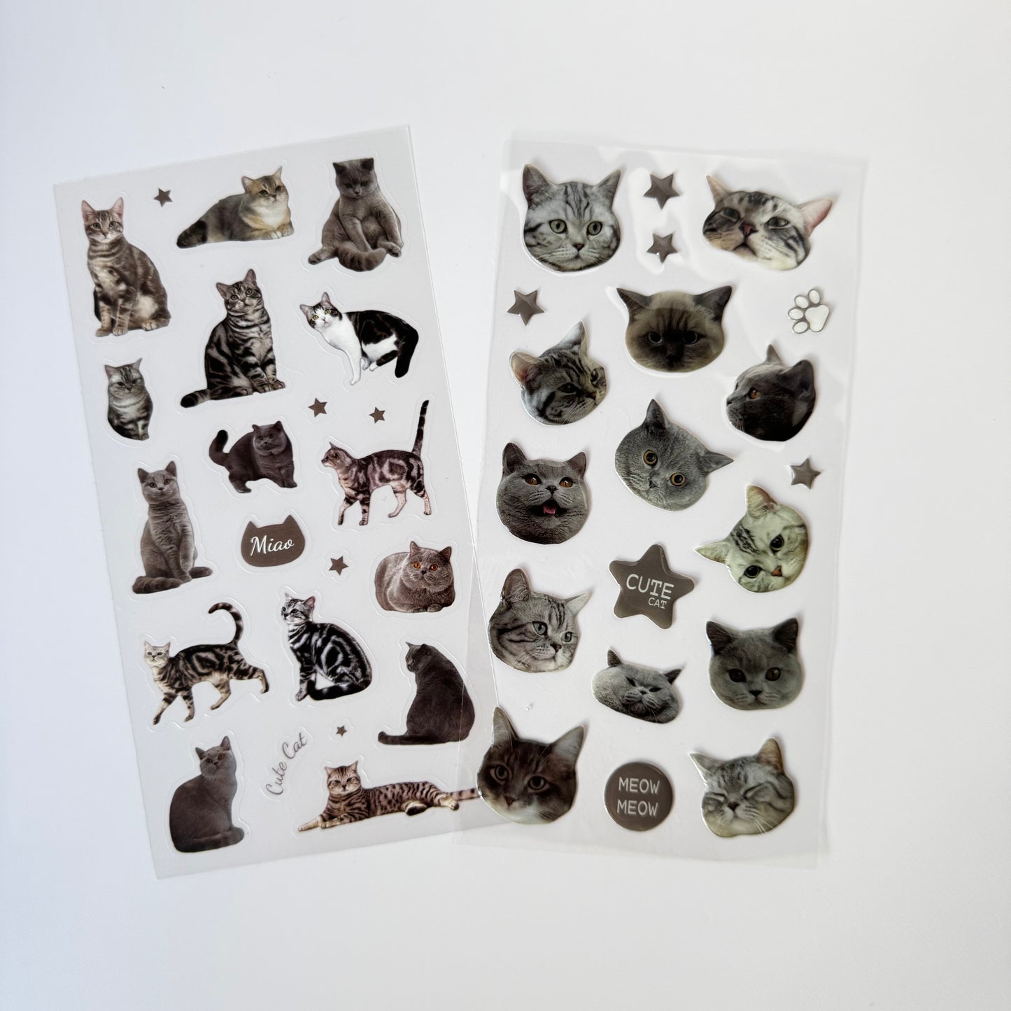 Meow Mood Stickers 🐾 — Cute Cat Collectio