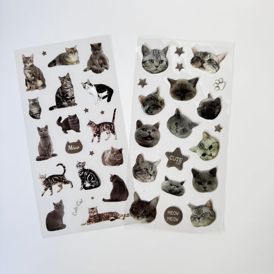 Meow Mood Stickers 🐾 — Cute Cat Collectio