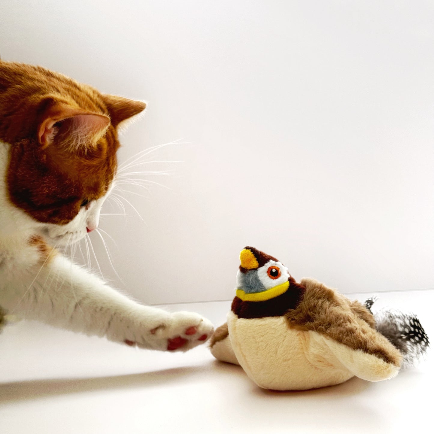 Fluffy Plush Cat Toy – Soft Squeaky Animal Buddy (Gray & Brown) 🧸