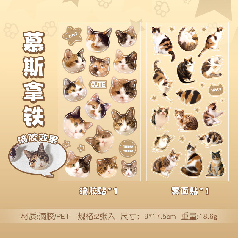 Meow Mood Stickers 🐾 — Cute Cat Collectio