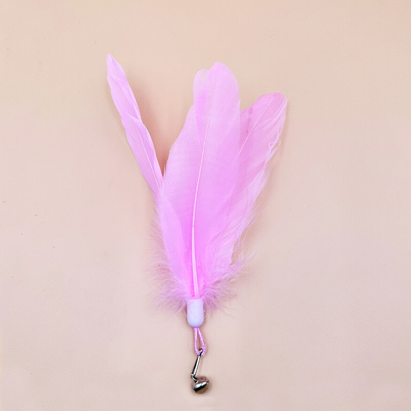 🐾 Feather with Bell for Cat Wand Toy (5 Colors) 🎀