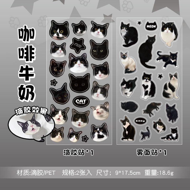Meow Mood Stickers 🐾 — Cute Cat Collectio