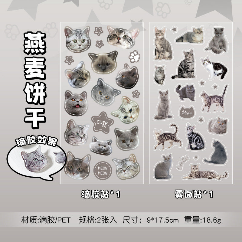 Meow Mood Stickers 🐾 — Cute Cat Collectio