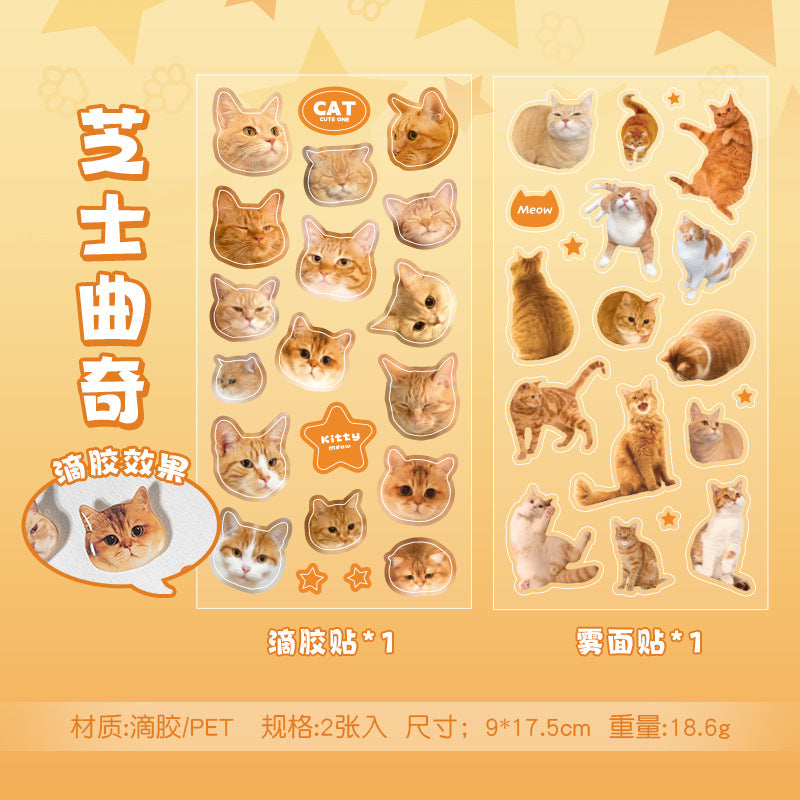 Meow Mood Stickers 🐾 — Cute Cat Collectio