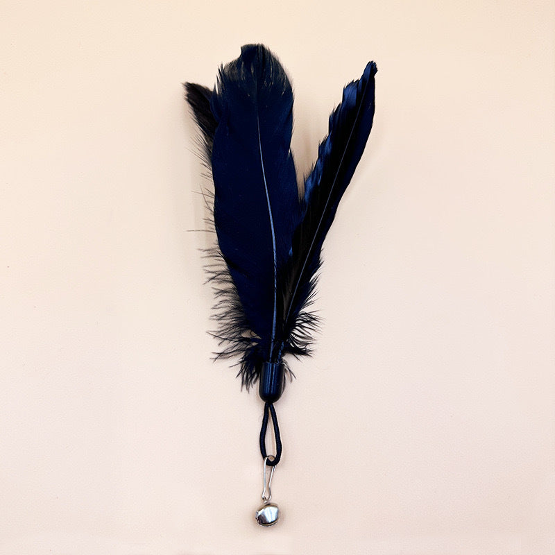 🐾 Feather with Bell for Cat Wand Toy (5 Colors) 🎀