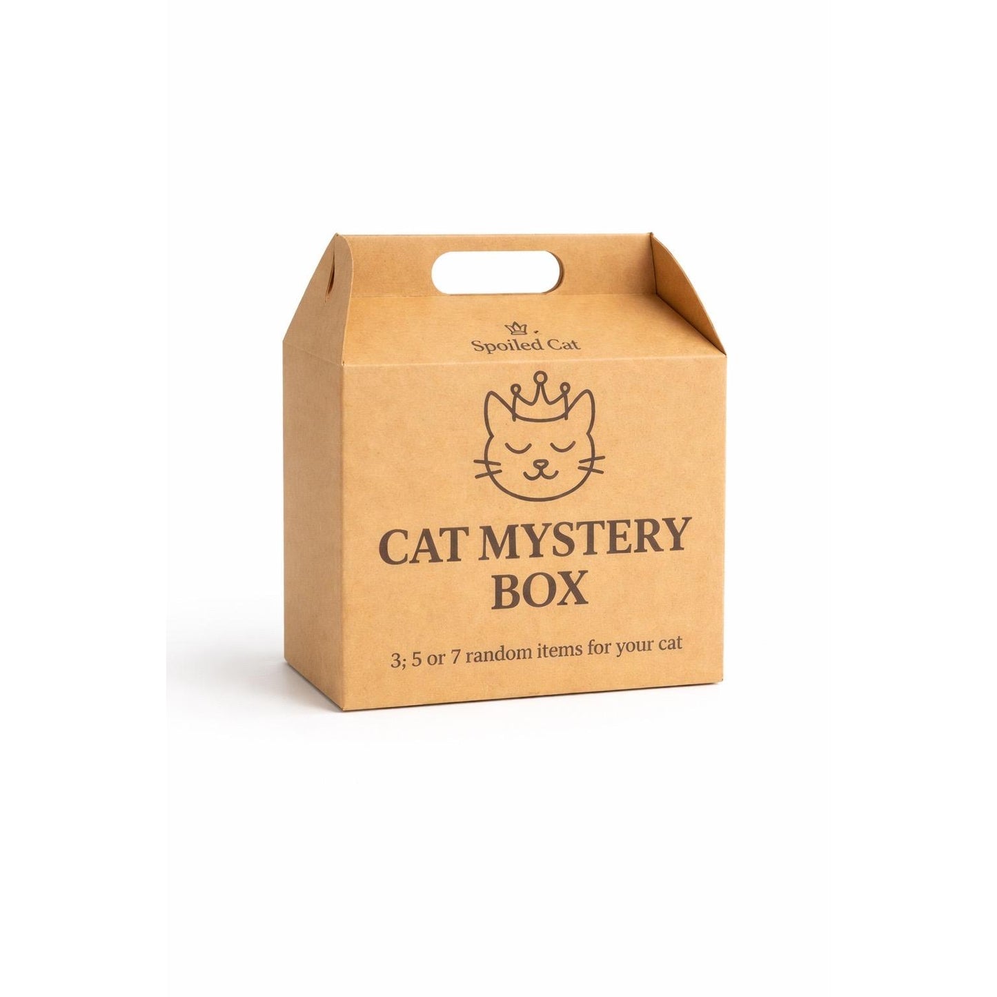 🧡 Premium Cat Mystery Box 🐱📦✨